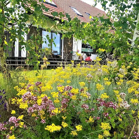 Siedlisko Gregorowo Homestay