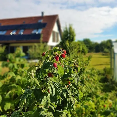 Siedlisko Gregorowo Проживание в семье