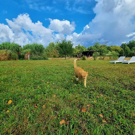 Siedlisko Gregorowo Проживание в семье Устка