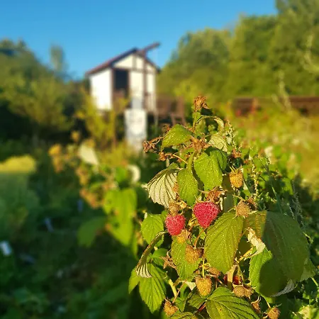 Siedlisko Gregorowo * Устка