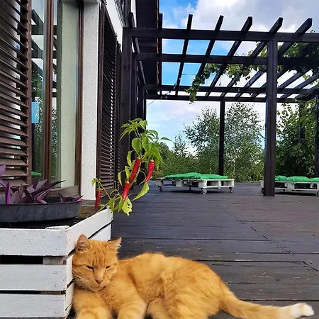 Проживание в семье Siedlisko Gregorowo