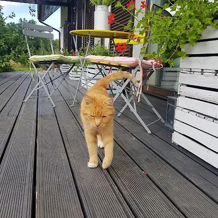 Siedlisko Gregorowo Устка