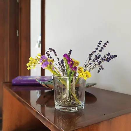 Siedlisko Gregorowo * Устка