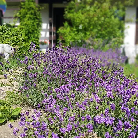 Siedlisko Gregorowo Проживание в семье