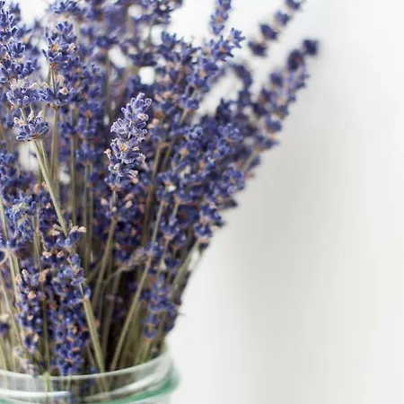 Проживание в семье Siedlisko Gregorowo