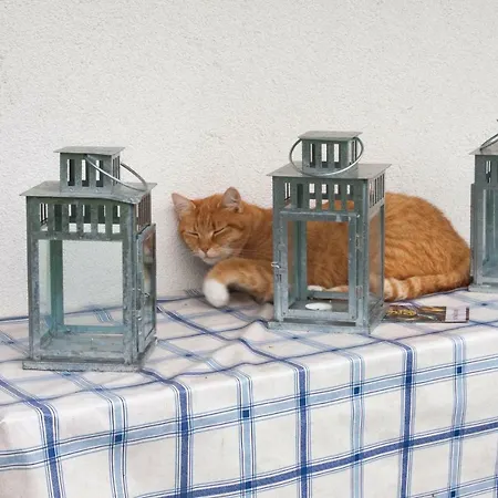 Проживание в семье Siedlisko Gregorowo Устка