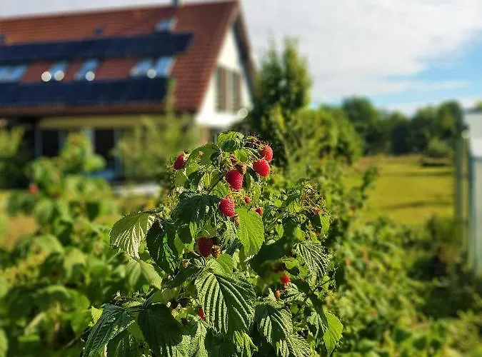 Siedlisko Gregorowo Alloggio in famiglia