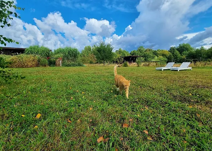 Siedlisko Gregorowo منزل للإقامة أوستكا