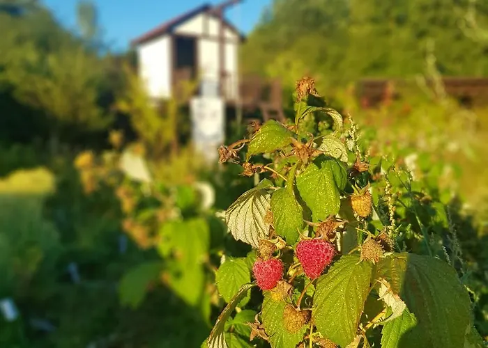 Siedlisko Gregorowo * Ustka