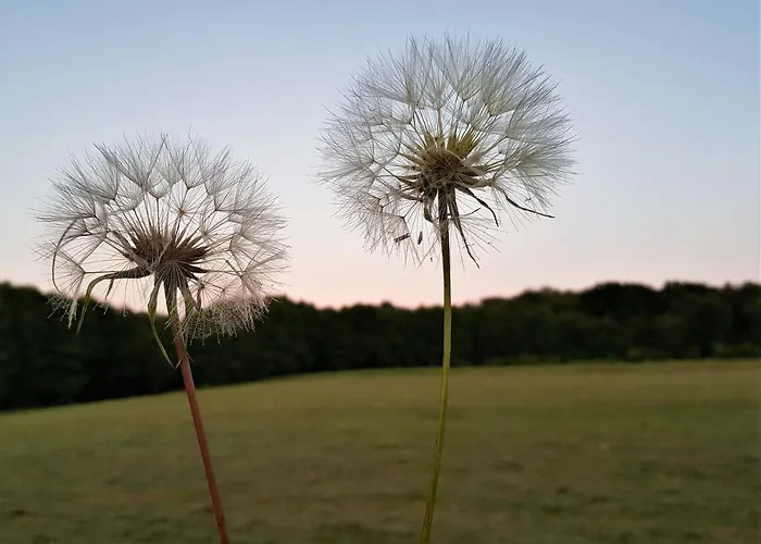 منزل للإقامة Siedlisko Gregorowo أوستكا