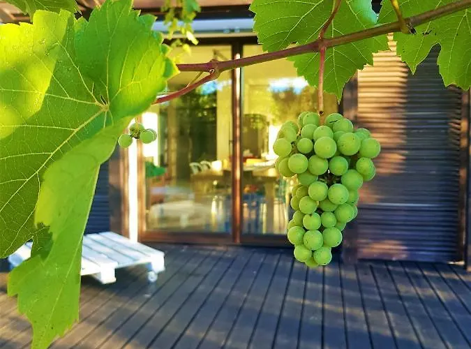 Siedlisko Gregorowo * Ustka