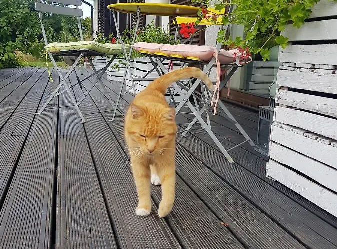 Siedlisko Gregorowo Ustka