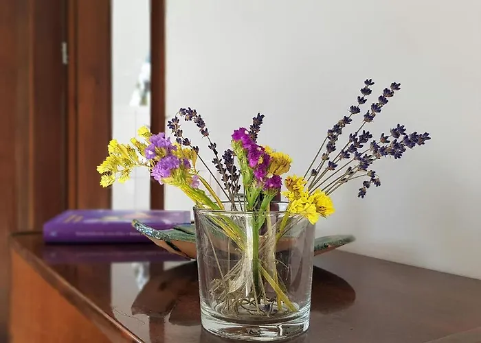 Siedlisko Gregorowo * أوستكا