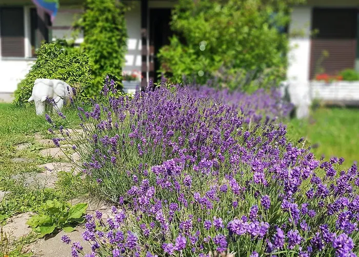 Siedlisko Gregorowo Alloggio in famiglia