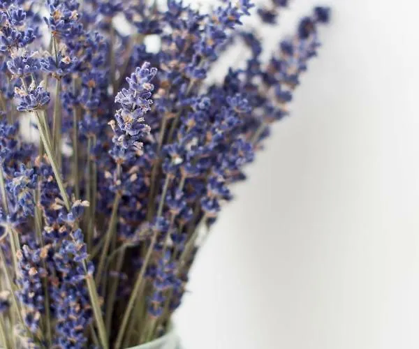 منزل للإقامة Siedlisko Gregorowo