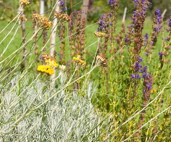 Siedlisko Gregorowo Alloggio in famiglia