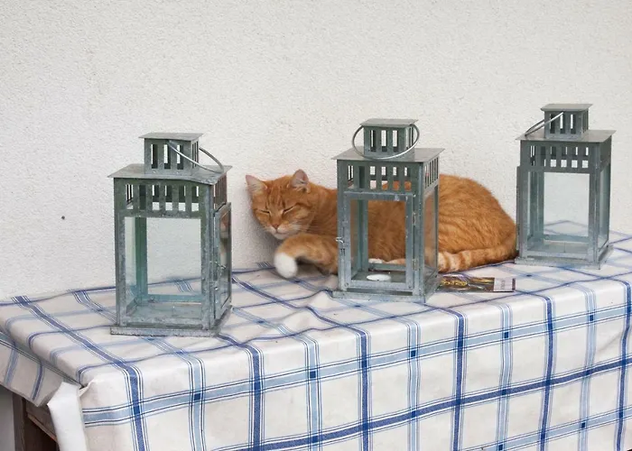 منزل للإقامة Siedlisko Gregorowo أوستكا